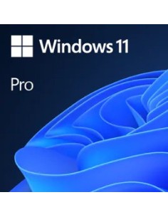 Windows 11 pro 1 licencia 64 bit todos los idiomas esd descarga directa
